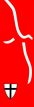 HSS_logo_102x321 Haus St. Stephanus Jugend- und Behindertenhilfe
